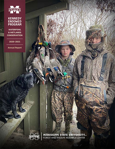 annual report cover