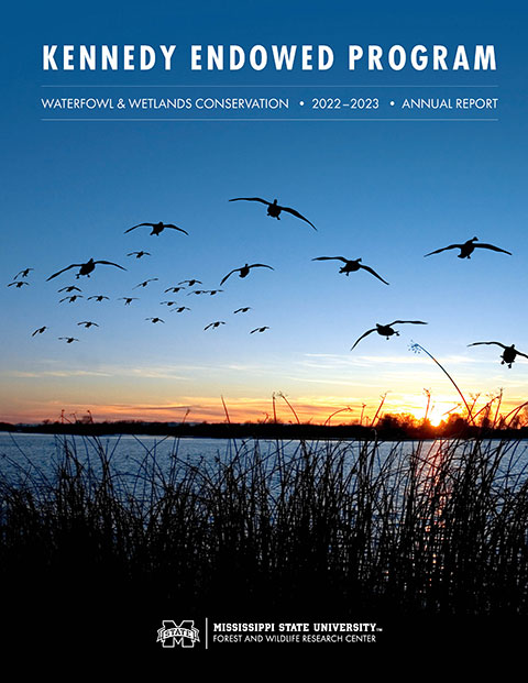 annual report cover