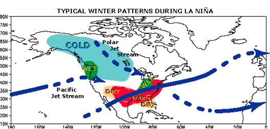image of winter patterns