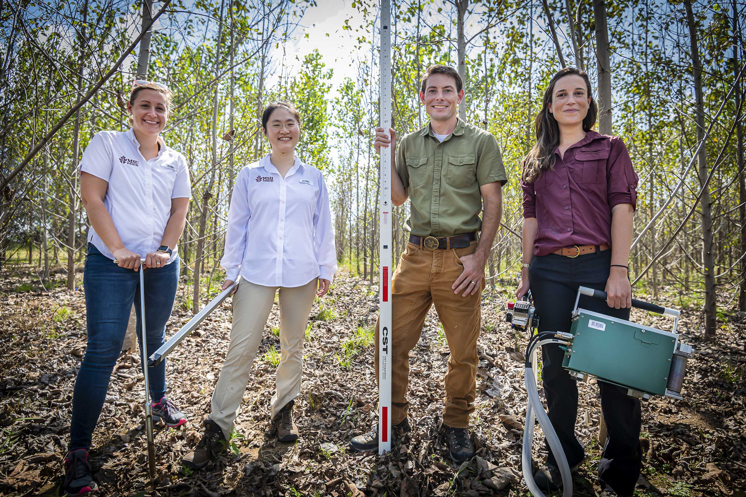 Department of Forestry