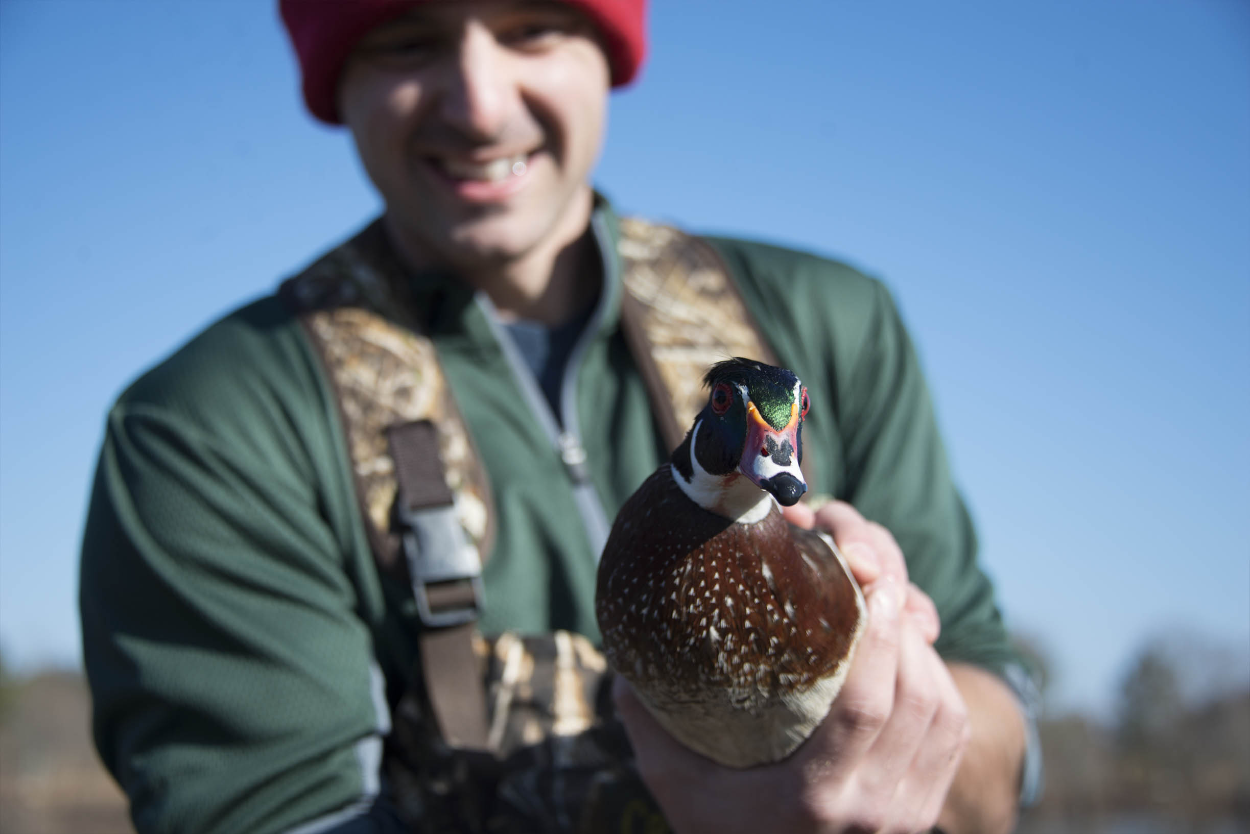 Wildlife Careers